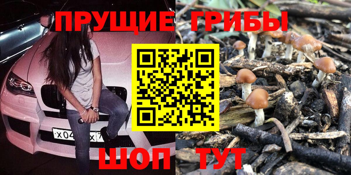 Псилоцибиновые грибы ЛСД  Вход с VPN  Егорьевск 