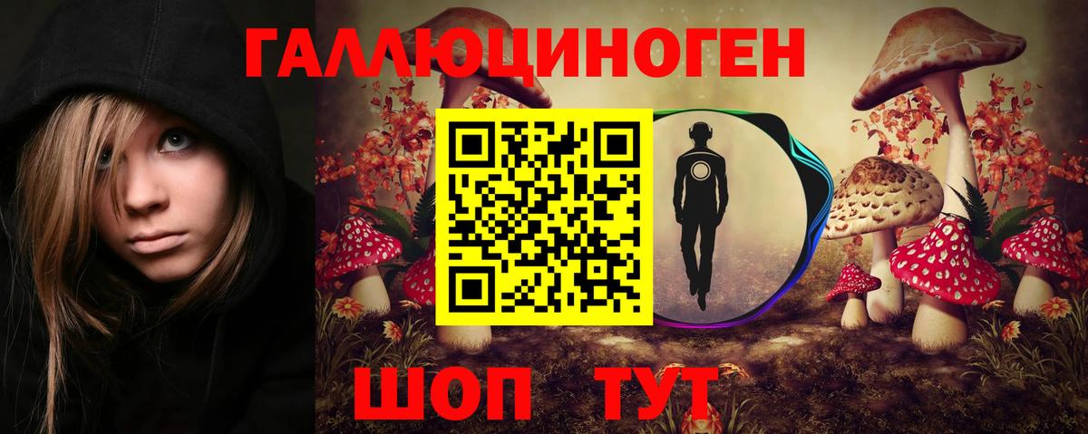 Псилоцибиновые грибы мицелий Егорьевск